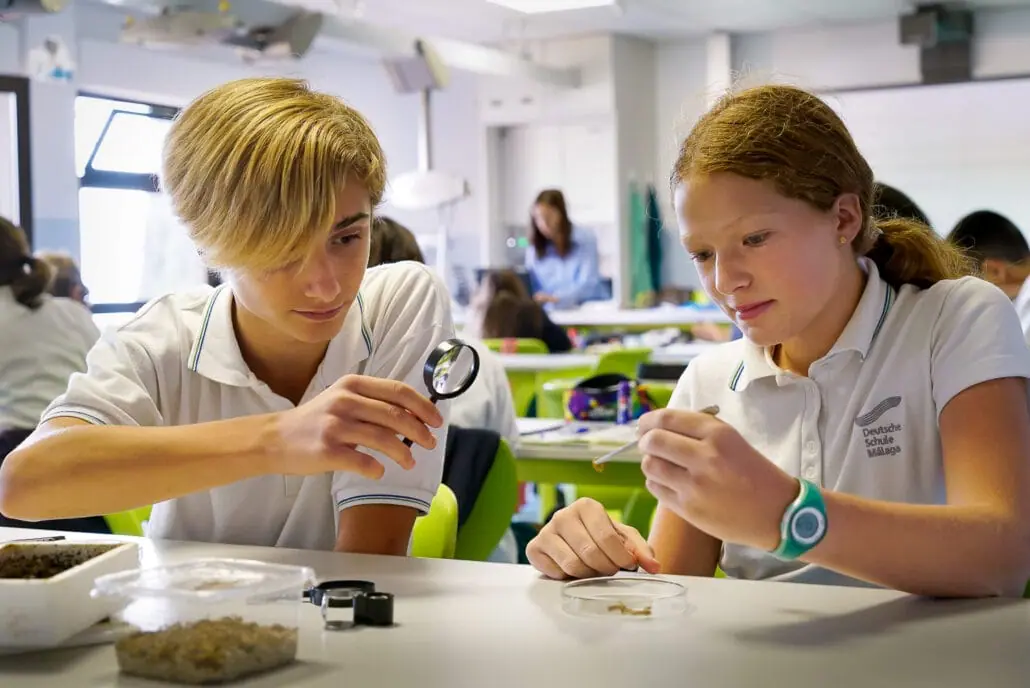 Naturwissenschaftliches-Studium